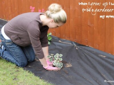 I am new to gardening