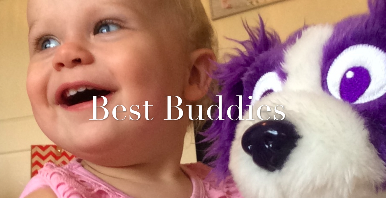 Russell the Dream Sheepdog Review
