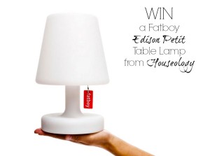 Monday's Blog Birthday Giveaway: FatBoy Lamp