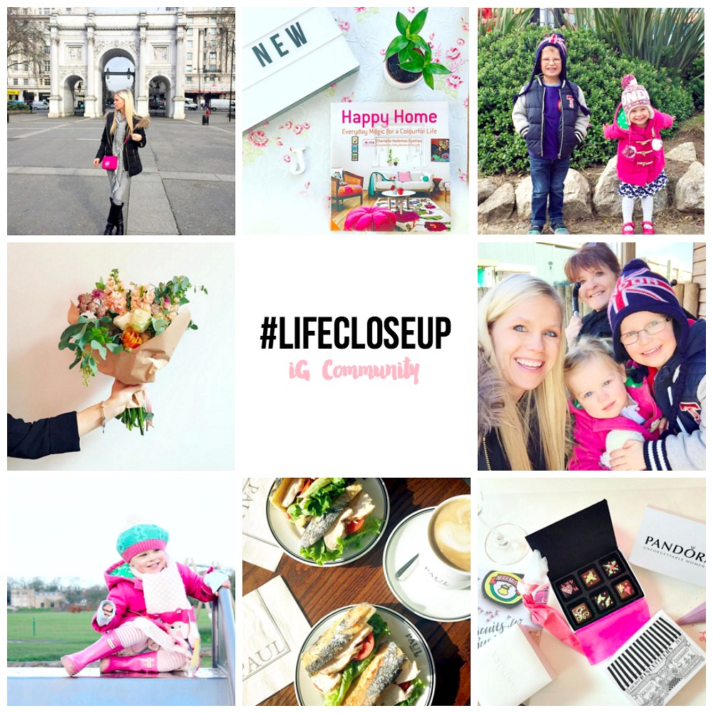 A pop of color an instagram community #lifecloseup