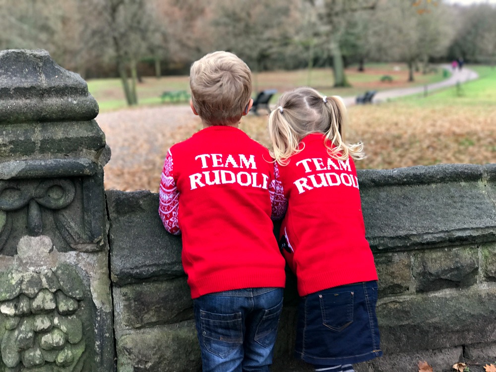 Siblings Seeing Santa December 2016 the siblings project 