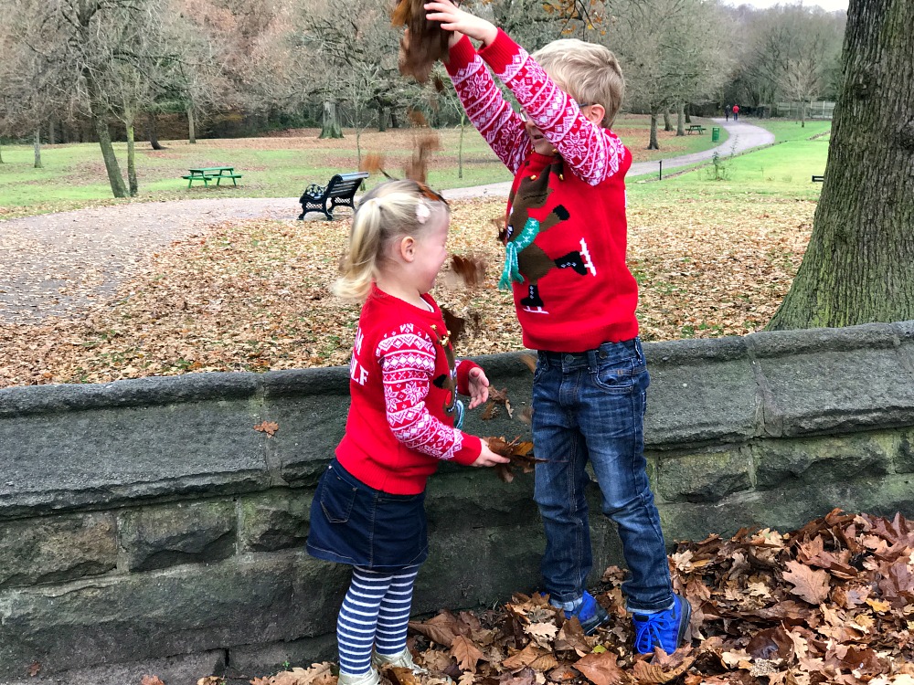 Siblings Seeing Santa December 2016 the siblings project 