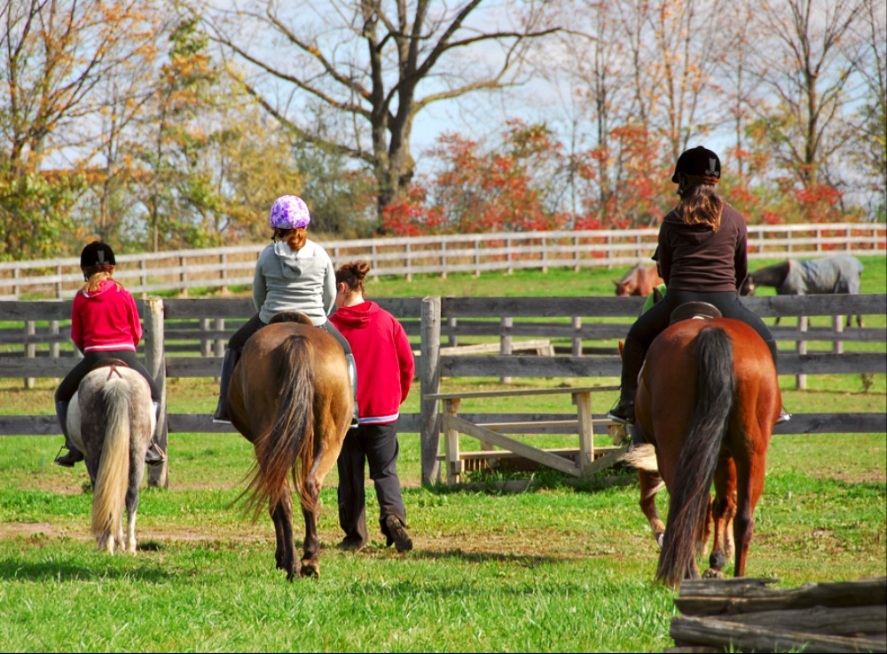 5 Great Outing Ideas for Spring Half Term