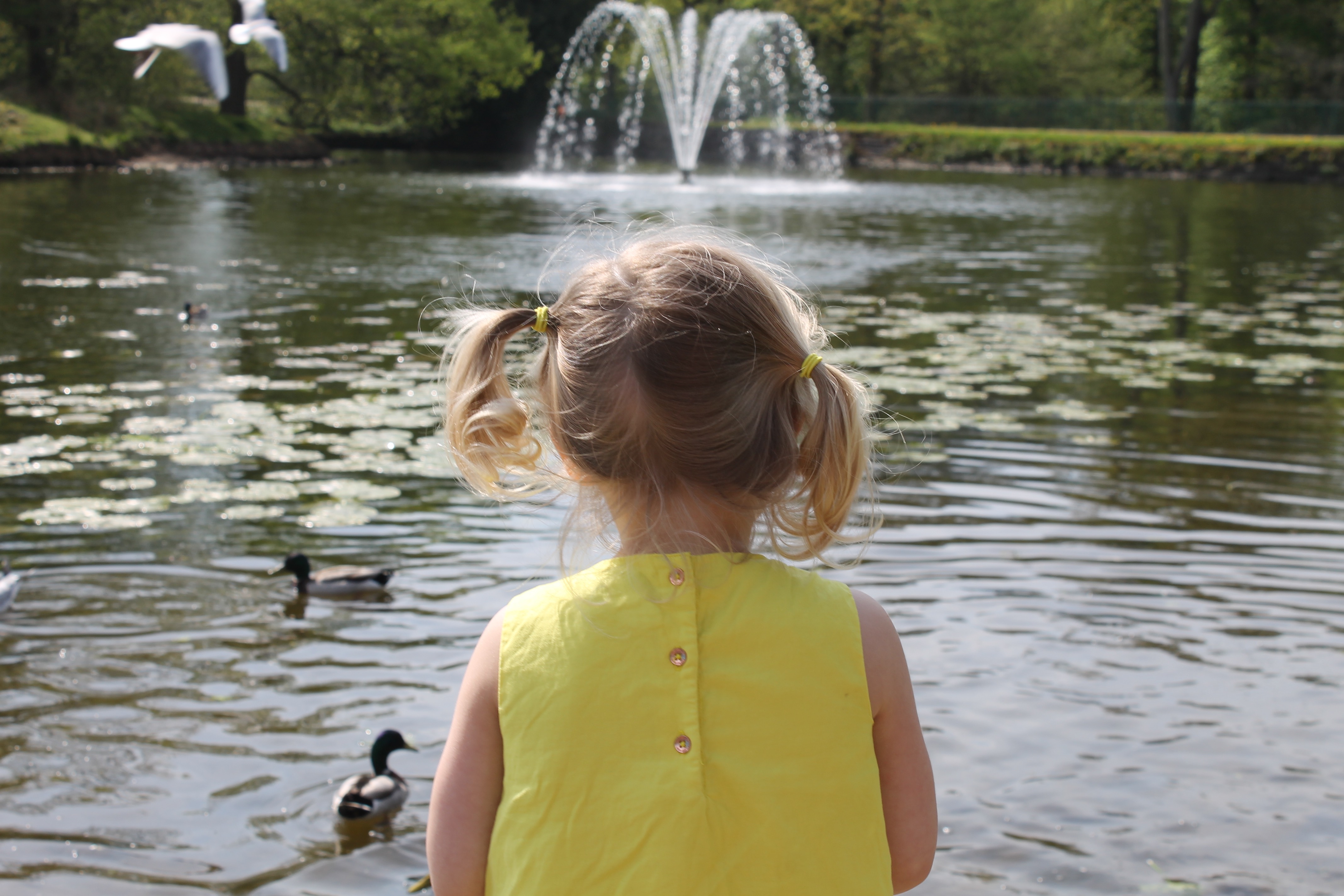 Happy Summers ahead + Olympus Pen Giveaway
