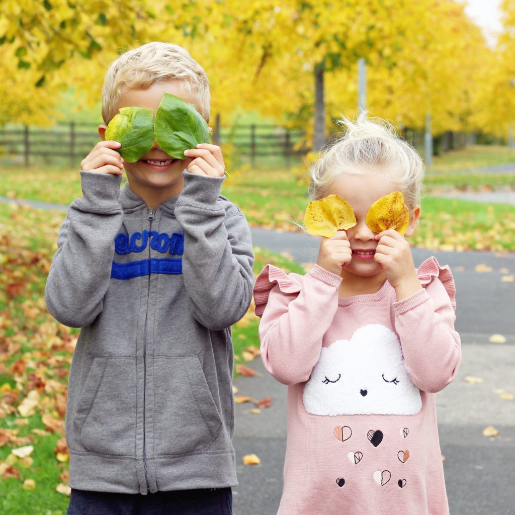 autumn kid's playing 