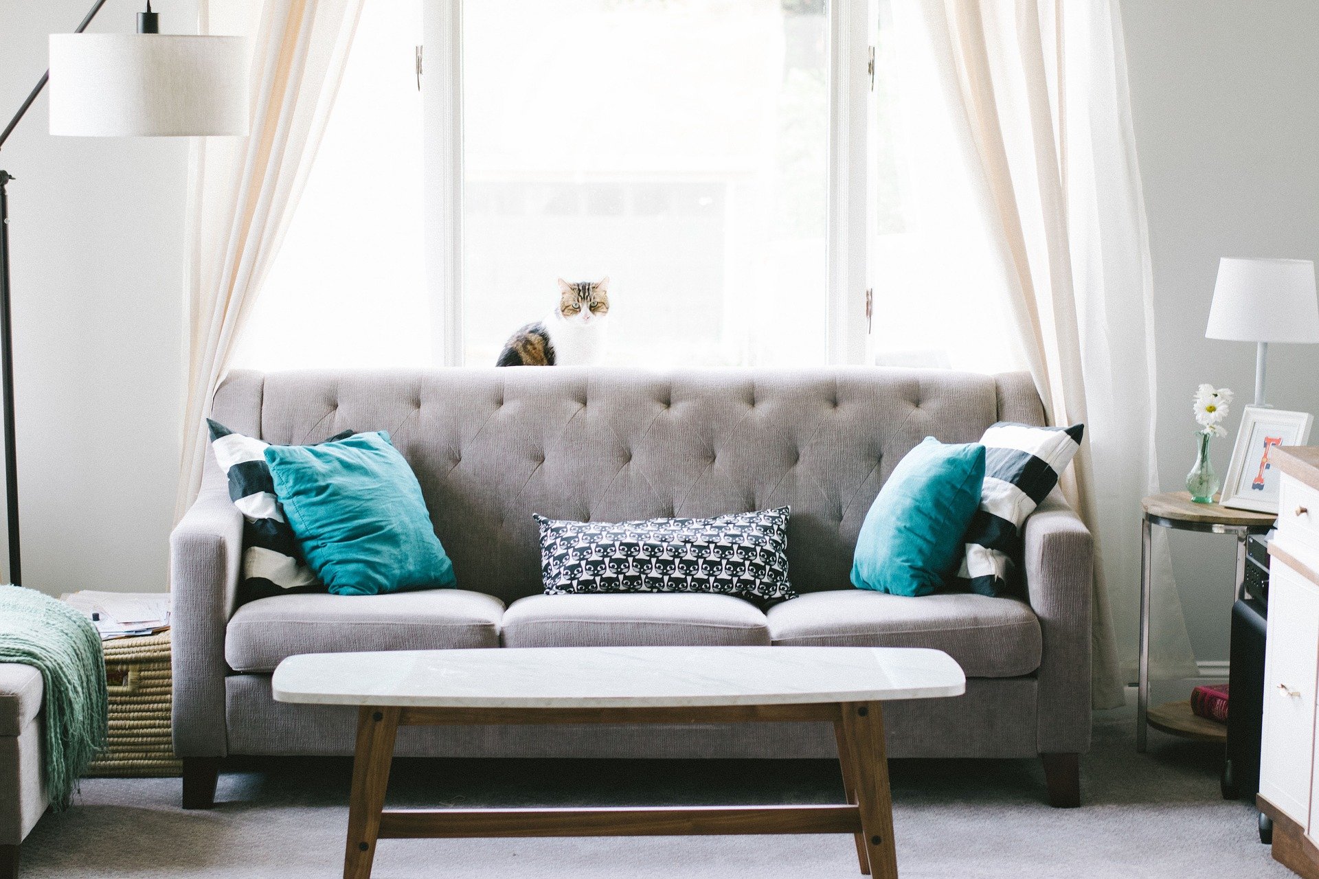 Simple Ways To Refresh A Home Without Needing To Renovate