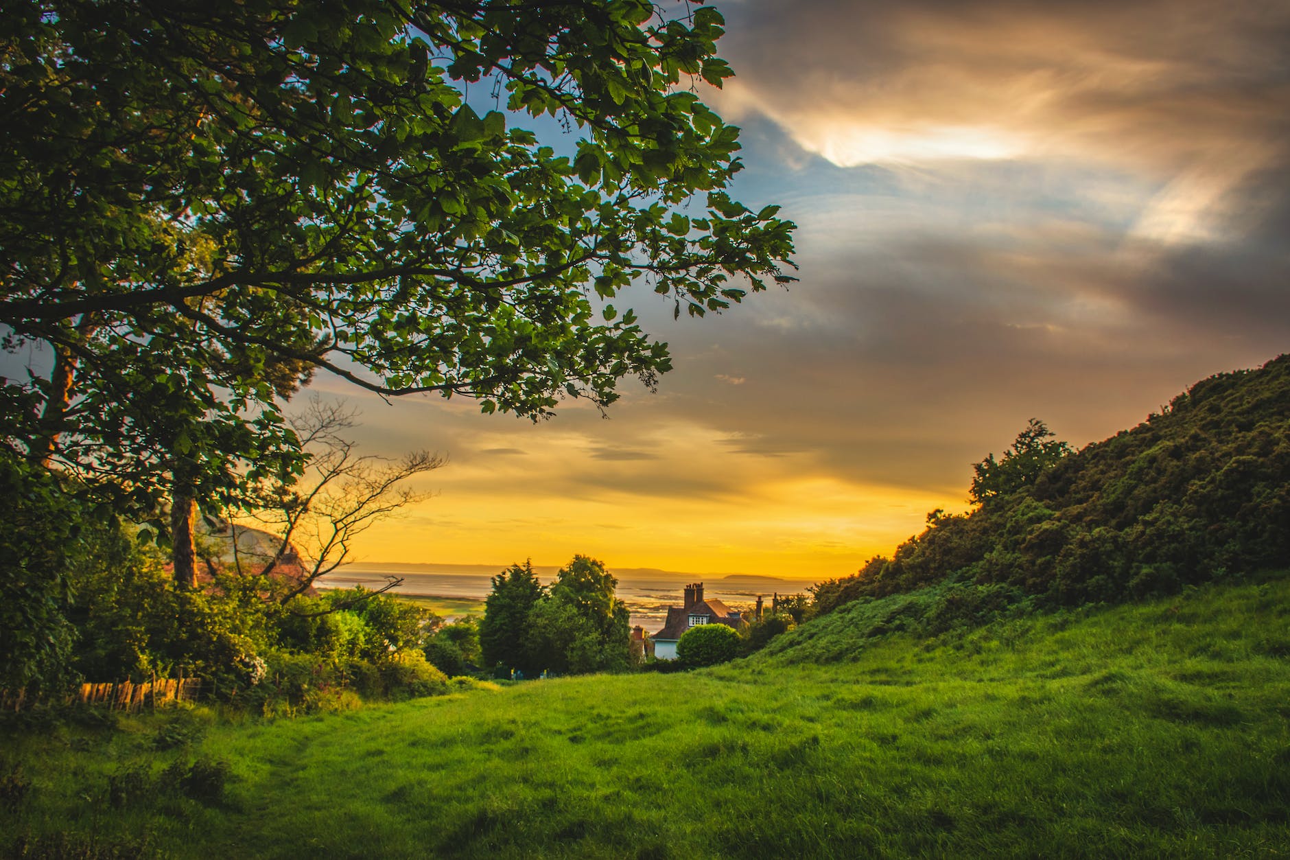 green trees under blue and orange sky during sunset