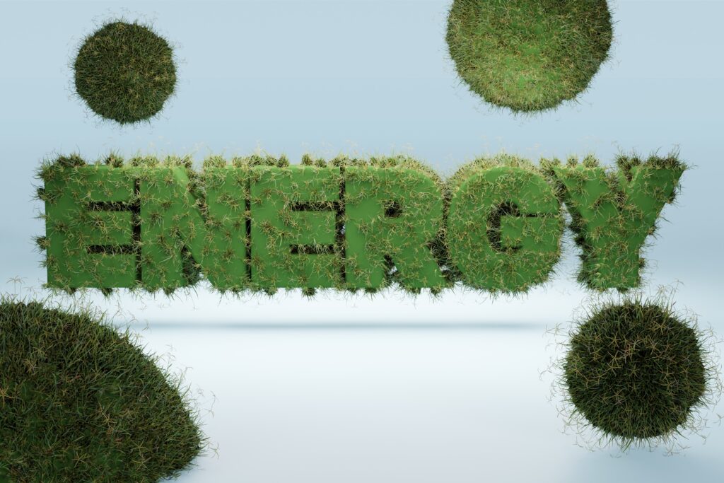 A 3d image of the word energy surrounded by grass and voltage optimiser.